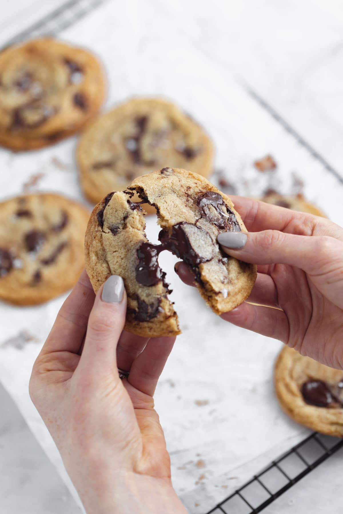 chocolate chip cookie fresh from the oven